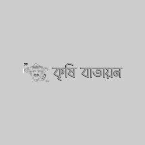 বারি তৈকর-১